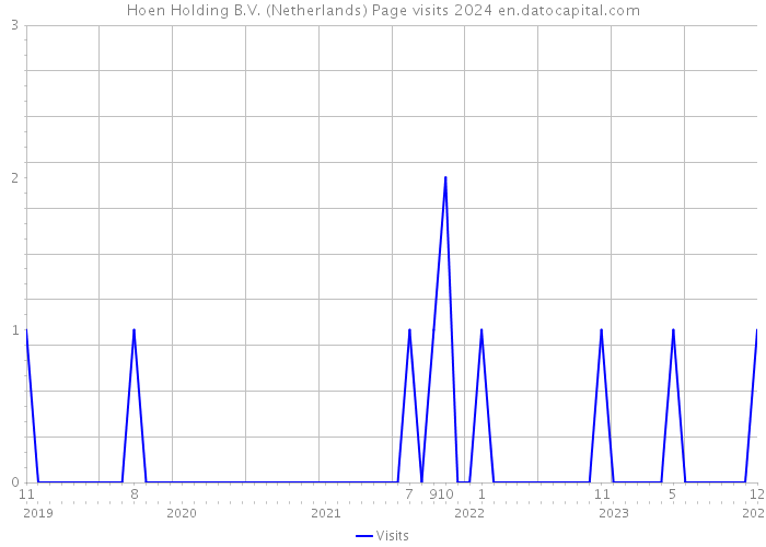 Hoen Holding B.V. (Netherlands) Page visits 2024 