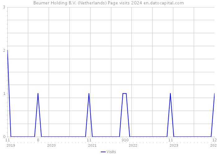 Beumer Holding B.V. (Netherlands) Page visits 2024 