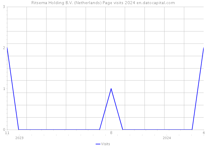 Ritsema Holding B.V. (Netherlands) Page visits 2024 