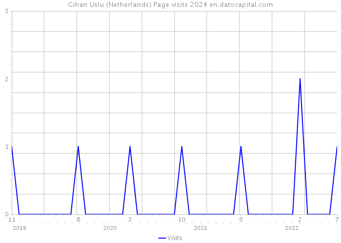 Cihan Uslu (Netherlands) Page visits 2024 