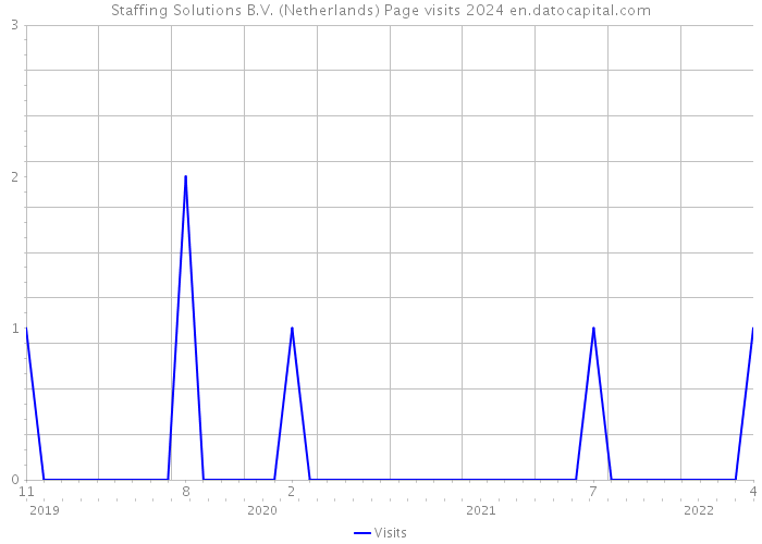 Staffing Solutions B.V. (Netherlands) Page visits 2024 