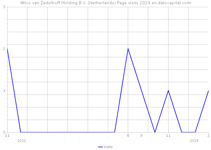 Wilco van Zadelhoff Holding B.V. (Netherlands) Page visits 2024 