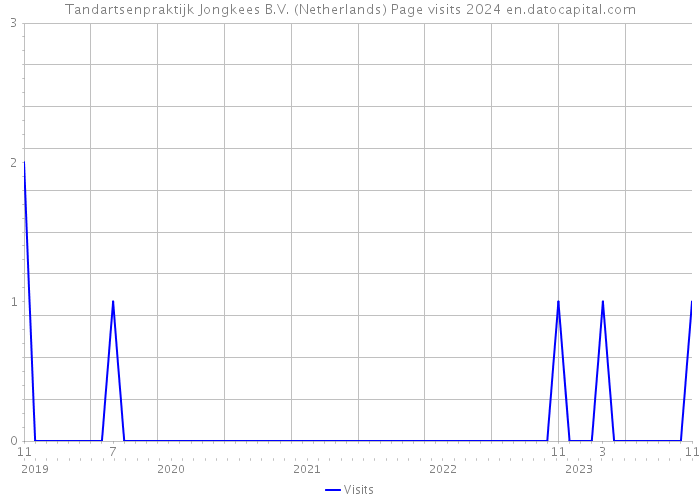 Tandartsenpraktijk Jongkees B.V. (Netherlands) Page visits 2024 