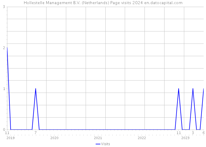 Hollestelle Management B.V. (Netherlands) Page visits 2024 