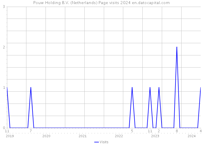 Pouw Holding B.V. (Netherlands) Page visits 2024 