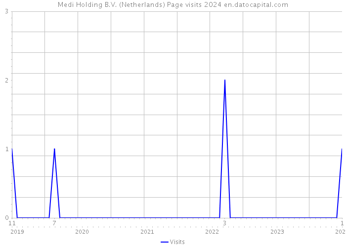 Medi Holding B.V. (Netherlands) Page visits 2024 