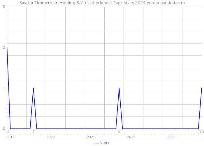 Sascha Timmerman Holding B.V. (Netherlands) Page visits 2024 