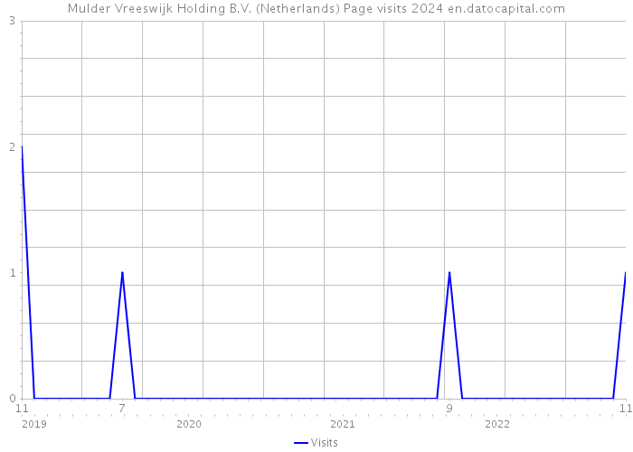 Mulder Vreeswijk Holding B.V. (Netherlands) Page visits 2024 