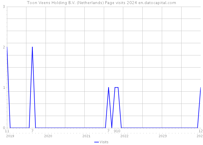 Toon Veens Holding B.V. (Netherlands) Page visits 2024 