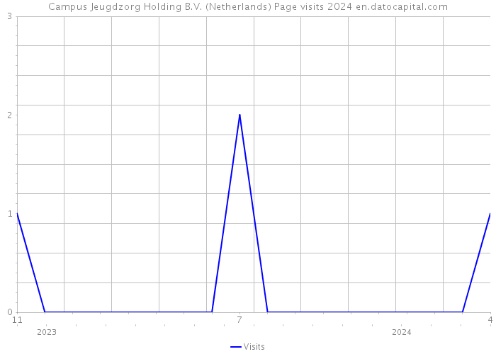 Campus Jeugdzorg Holding B.V. (Netherlands) Page visits 2024 