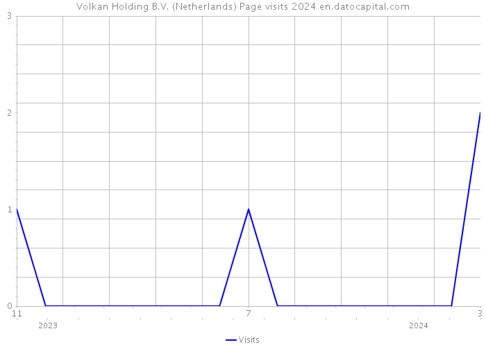 Volkan Holding B.V. (Netherlands) Page visits 2024 
