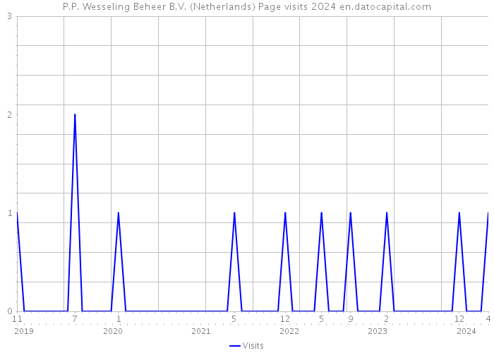 P.P. Wesseling Beheer B.V. (Netherlands) Page visits 2024 