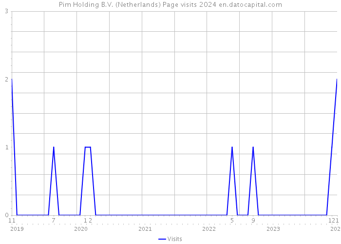 Pim Holding B.V. (Netherlands) Page visits 2024 