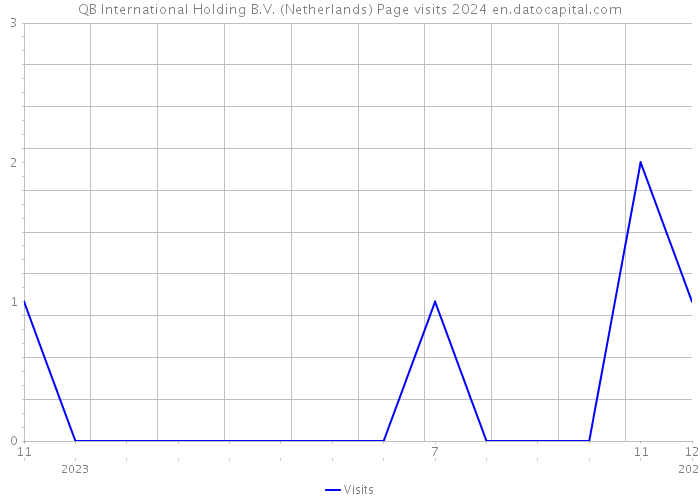 QB International Holding B.V. (Netherlands) Page visits 2024 