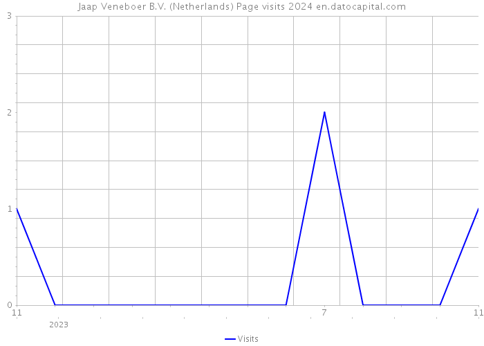 Jaap Veneboer B.V. (Netherlands) Page visits 2024 