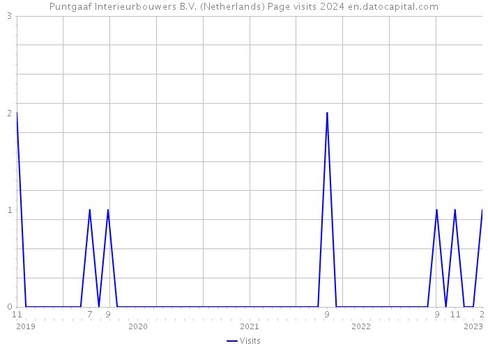 Puntgaaf Interieurbouwers B.V. (Netherlands) Page visits 2024 