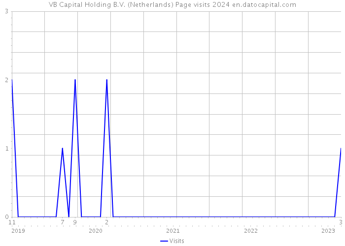 VB Capital Holding B.V. (Netherlands) Page visits 2024 