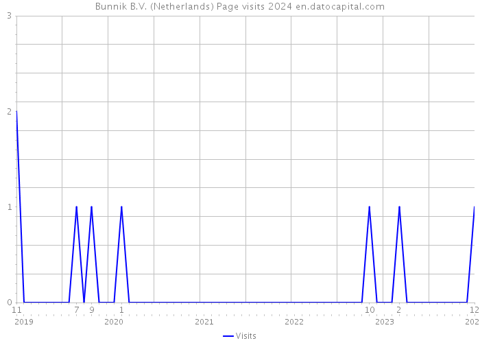 Bunnik B.V. (Netherlands) Page visits 2024 