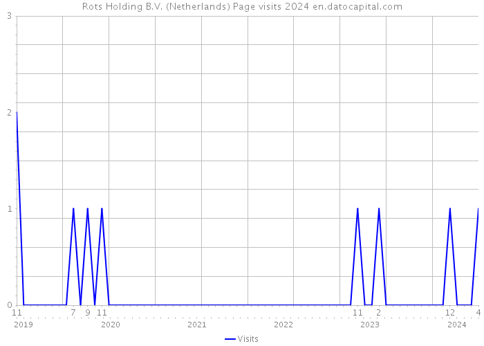 Rots Holding B.V. (Netherlands) Page visits 2024 