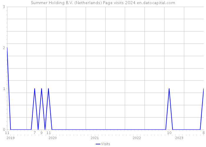 Summer Holding B.V. (Netherlands) Page visits 2024 