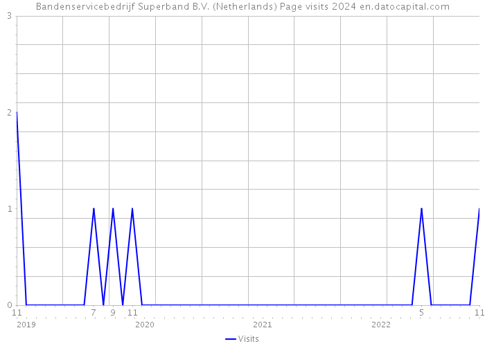 Bandenservicebedrijf Superband B.V. (Netherlands) Page visits 2024 