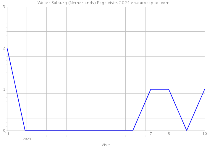 Walter Salburg (Netherlands) Page visits 2024 