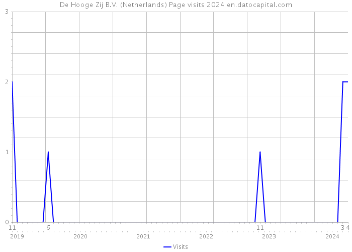 De Hooge Zij B.V. (Netherlands) Page visits 2024 