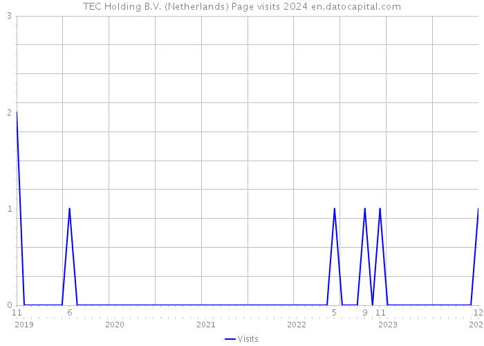TEC Holding B.V. (Netherlands) Page visits 2024 