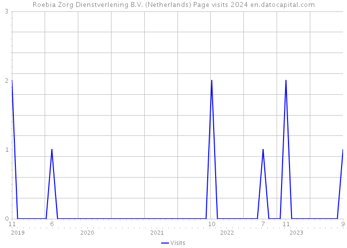 Roebia Zorg Dienstverlening B.V. (Netherlands) Page visits 2024 