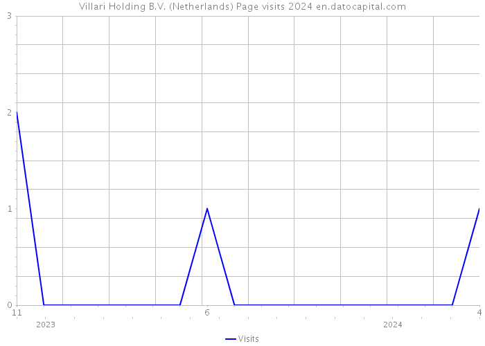 Villari Holding B.V. (Netherlands) Page visits 2024 