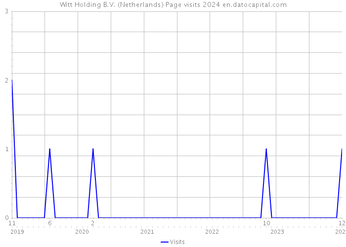 Witt Holding B.V. (Netherlands) Page visits 2024 