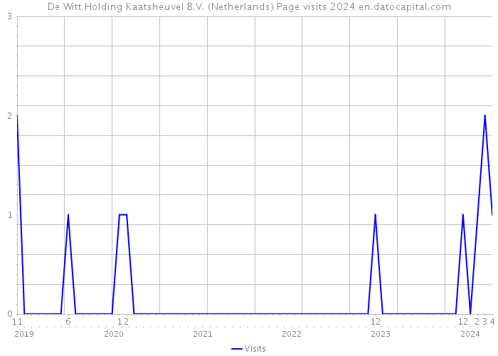 De Witt Holding Kaatsheuvel B.V. (Netherlands) Page visits 2024 