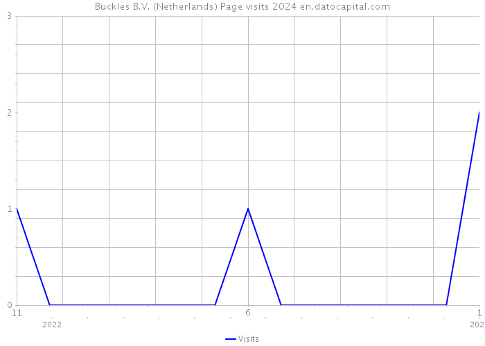 Buckles B.V. (Netherlands) Page visits 2024 