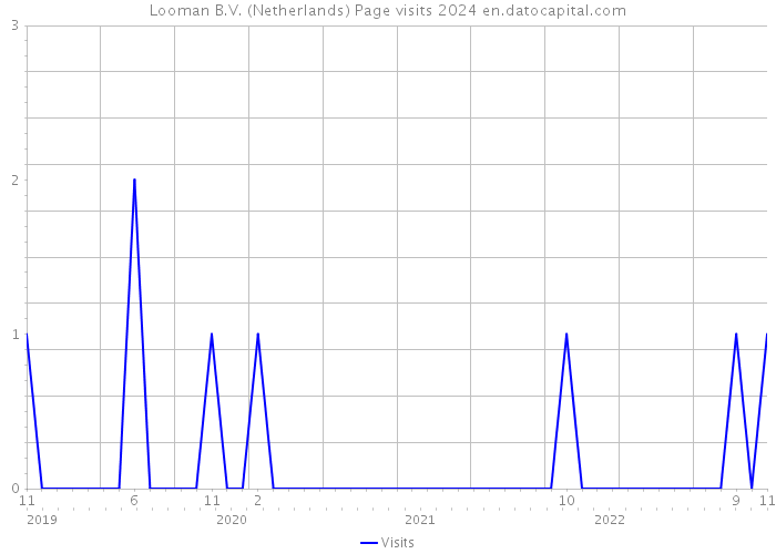 Looman B.V. (Netherlands) Page visits 2024 