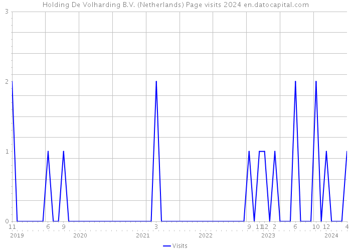 Holding De Volharding B.V. (Netherlands) Page visits 2024 