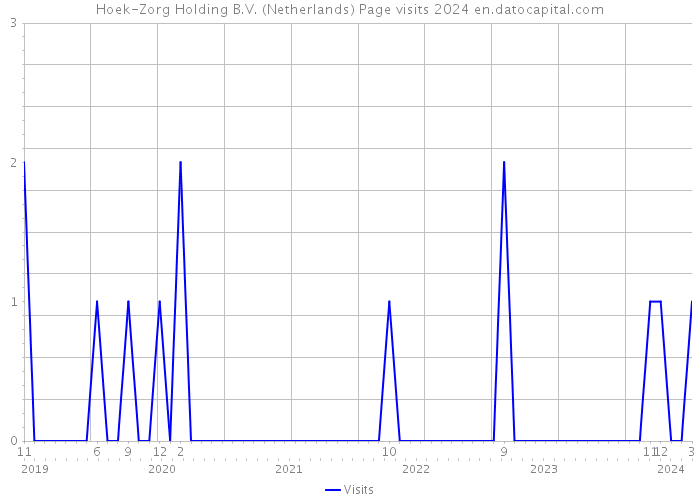 Hoek-Zorg Holding B.V. (Netherlands) Page visits 2024 