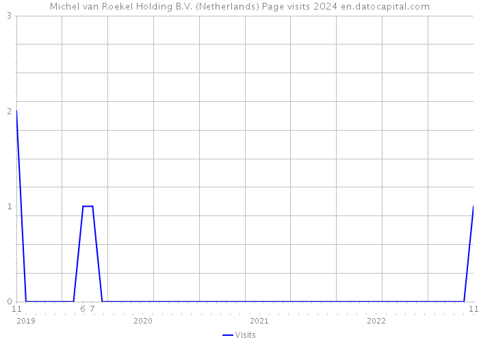 Michel van Roekel Holding B.V. (Netherlands) Page visits 2024 