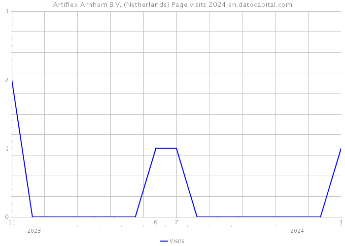 Artiflex Arnhem B.V. (Netherlands) Page visits 2024 