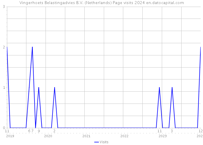 Vingerhoets Belastingadvies B.V. (Netherlands) Page visits 2024 