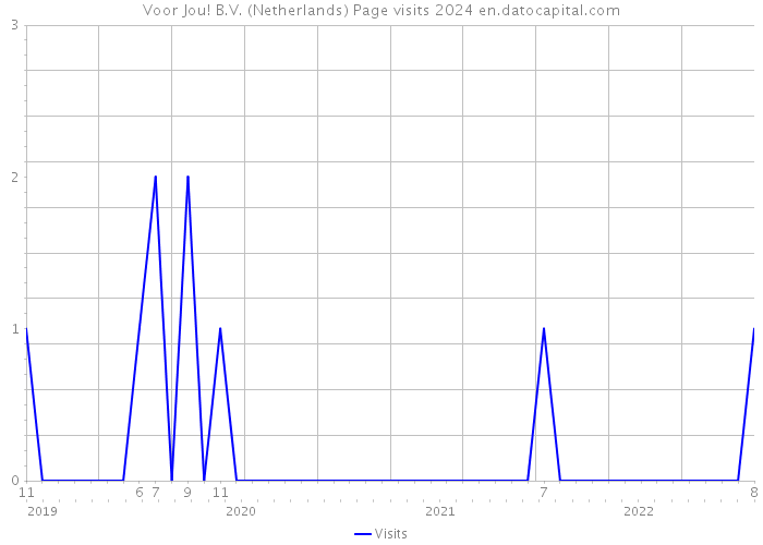 Voor Jou! B.V. (Netherlands) Page visits 2024 