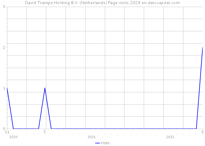 David Trampe Holding B.V. (Netherlands) Page visits 2024 