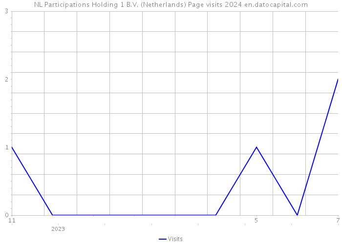 NL Participations Holding 1 B.V. (Netherlands) Page visits 2024 