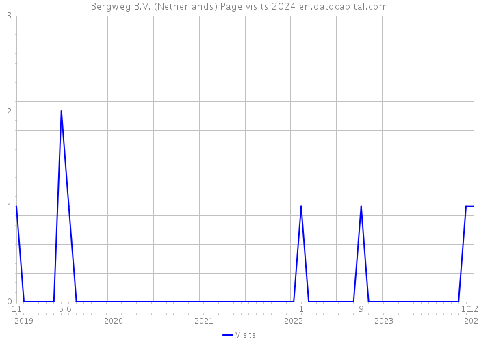 Bergweg B.V. (Netherlands) Page visits 2024 