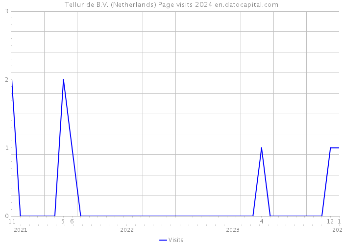 Telluride B.V. (Netherlands) Page visits 2024 