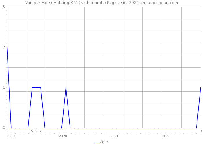 Van der Horst Holding B.V. (Netherlands) Page visits 2024 