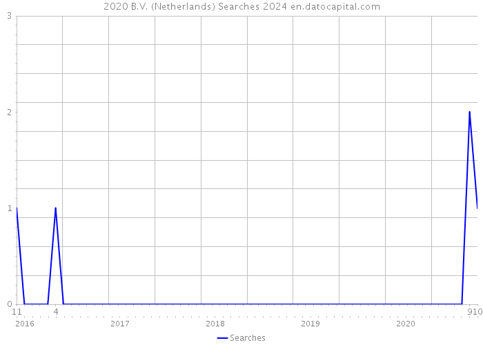 2020 B.V. (Netherlands) Searches 2024 