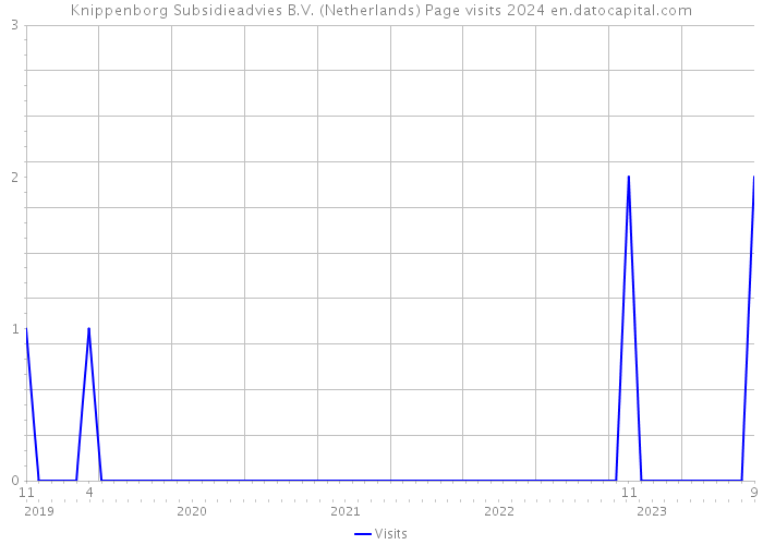 Knippenborg Subsidieadvies B.V. (Netherlands) Page visits 2024 
