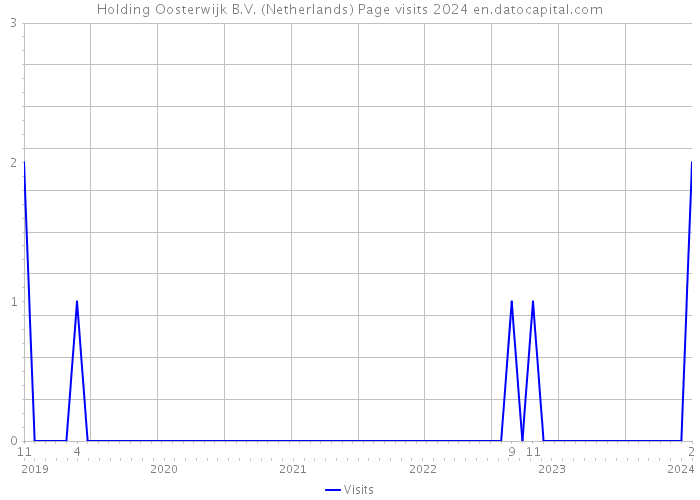 Holding Oosterwijk B.V. (Netherlands) Page visits 2024 