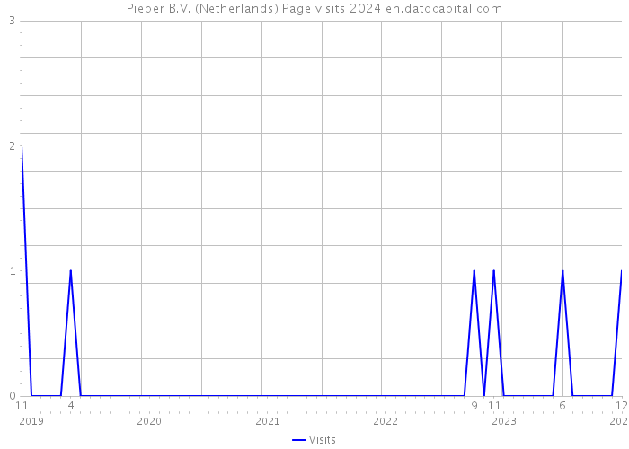 Pieper B.V. (Netherlands) Page visits 2024 
