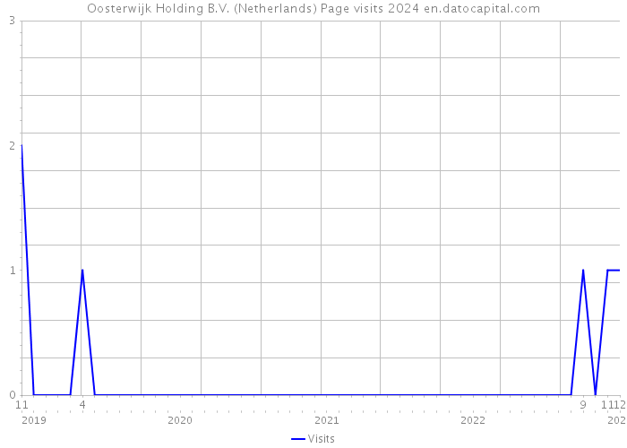 Oosterwijk Holding B.V. (Netherlands) Page visits 2024 